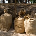 Tội chiếm đoạt hoặc hủy hoại chiến lợi phẩm (Điều 419)