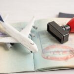 Tội tổ chức, môi giới cho người khác xuất cảnh, nhập cảnh hoặc ở lại Việt Nam trái phép