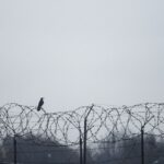 Tội trốn khỏi nơi giam, giữ hoặc trốn khi đang bị áp giải, đang bị xét xử