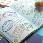 Tội vi phạm quy định về xuất cảnh, nhập cảnh; tội ở lại Việt Nam trái phép