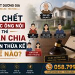 Bố chết trước ông nội thì phân chia di sản thừa kế thế nào?