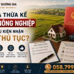 Chia thừa kế đất nông nghiệp: Điều kiện nhận và thủ tục?