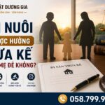 Con nuôi có được hưởng thừa kế từ cha mẹ đẻ không?