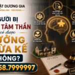 Người bị bệnh tâm thần có được hưởng thừa kế không?