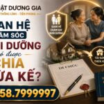 Quan hệ chăm sóc nuôi dưỡng có được chia thừa kế không?