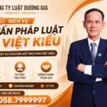 Dịch vụ Luật sư tư vấn, hỗ trợ pháp lý riêng cho Việt kiều