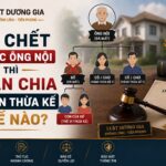 Bố chết trước ông nội thì phân chia di sản thừa kế thế nào?