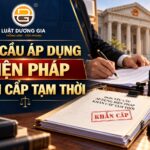 Luật sư yêu cầu áp dụng biện pháp khẩn cấp tạm thời
