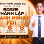 Dịch vụ thành lập công ty 100% vốn nước ngoài (FDI)