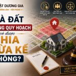Nhà đất nằm trong quy hoạch có được chia thừa kế không?