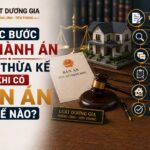 Các bước thi hành án chia thừa kế khi có bản án thế nào?